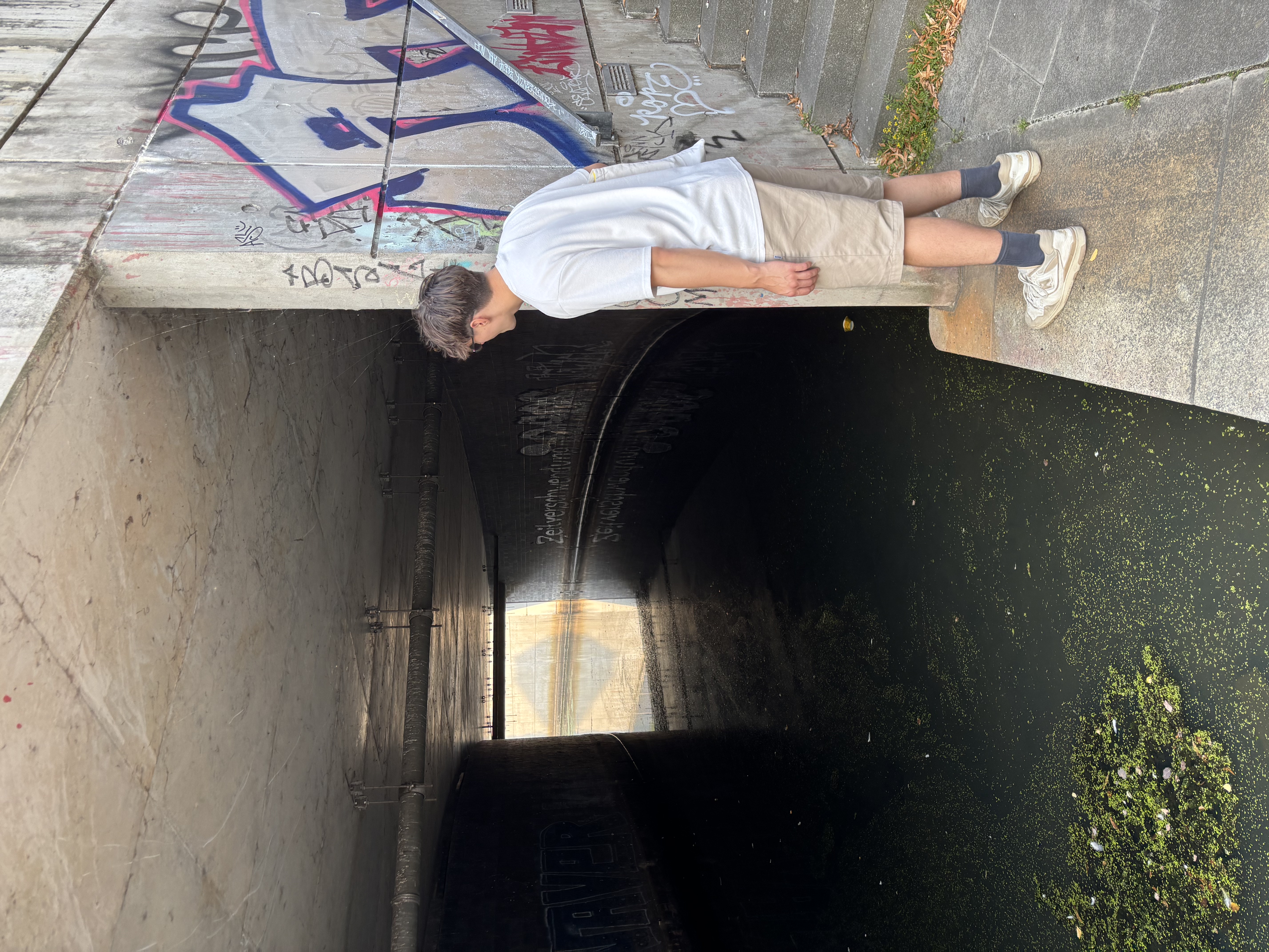 image 29