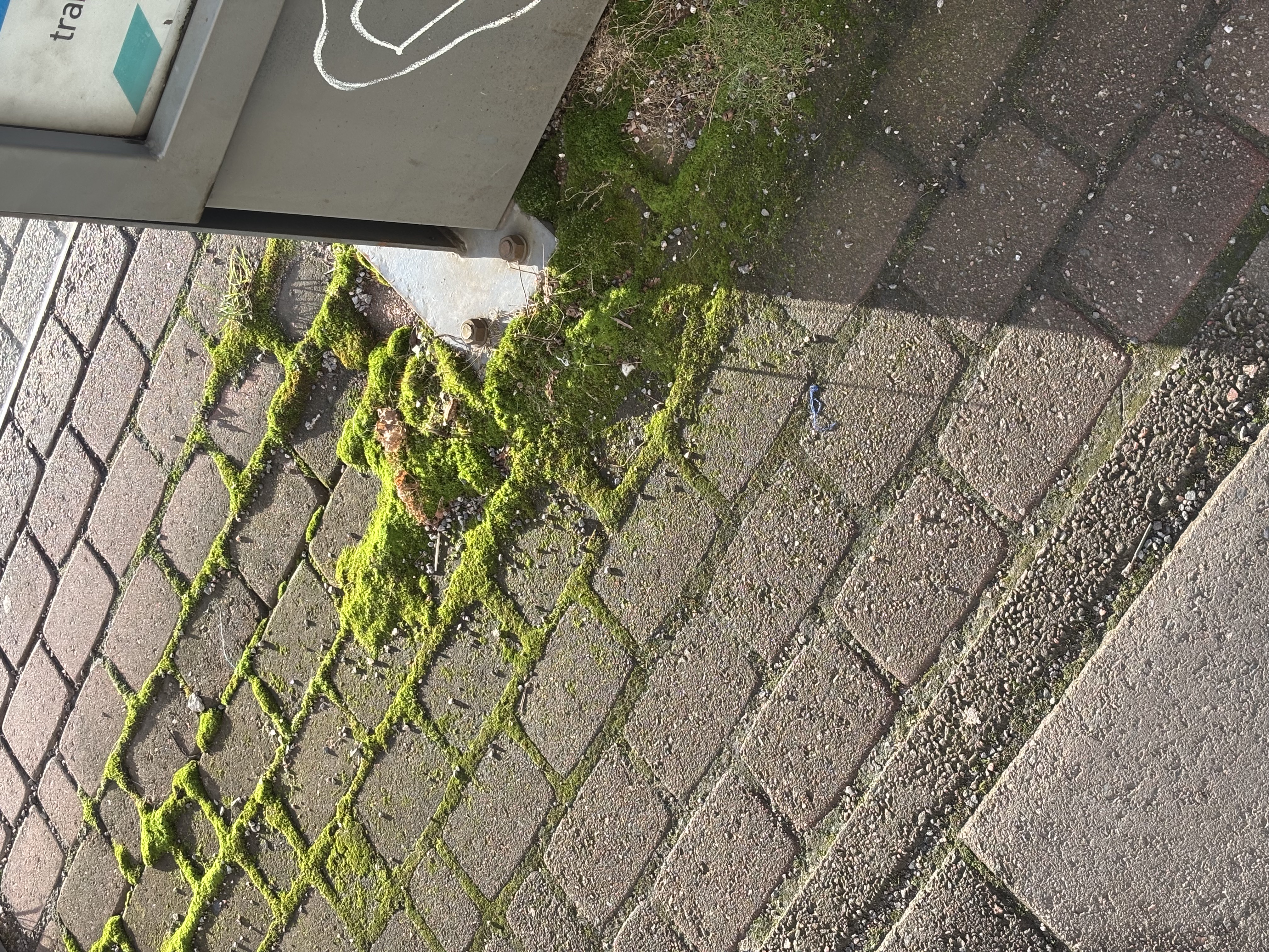 image 36