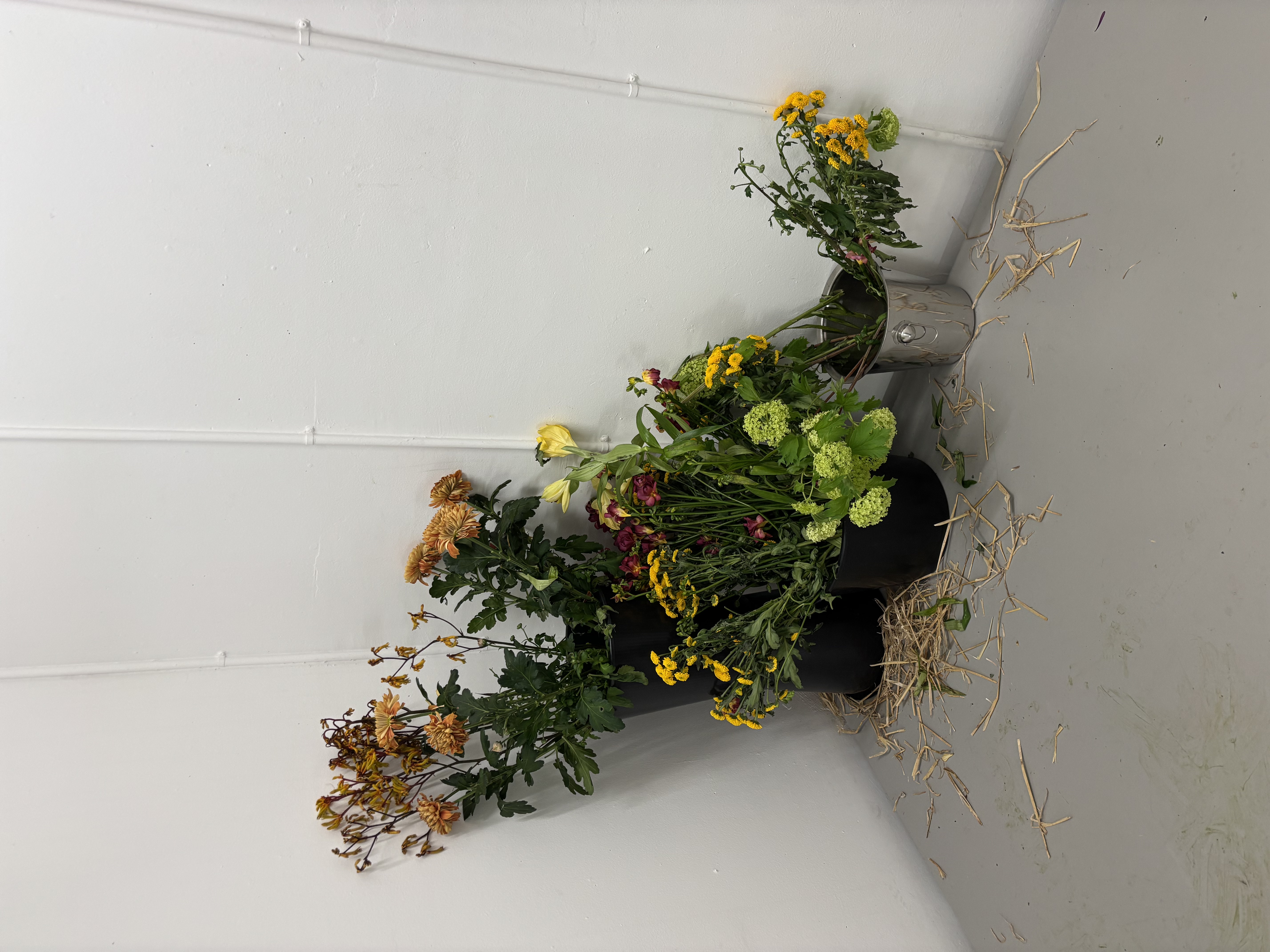 image 41